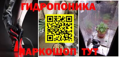гашик Севастополь
