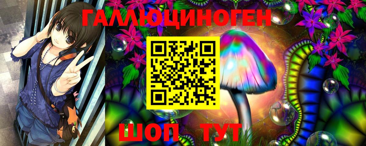 Псилоцибиновые грибы мицелий Ржев