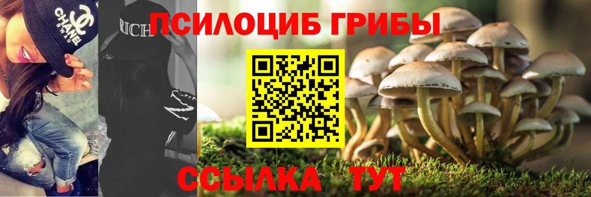 купить наркоту  Вход с VPN  Ржев  Галлюциногенные грибы MAGIC MUSHROOMS 